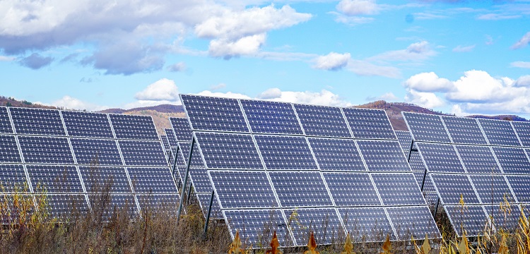 紡織品防螨檢測(cè)-專業(yè)除螨防螨檢測(cè)機(jī)構(gòu)