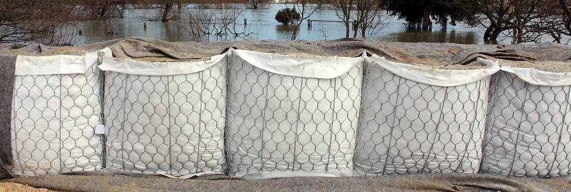 AVC 稱線上消毒機零售額增幅達 92.7%，零售量增幅達 90.6%，這反映了什么問題 ?紫外線殺菌燈測評丨殺菌效果實測，殺滅率99.9%到底是不是噱頭 