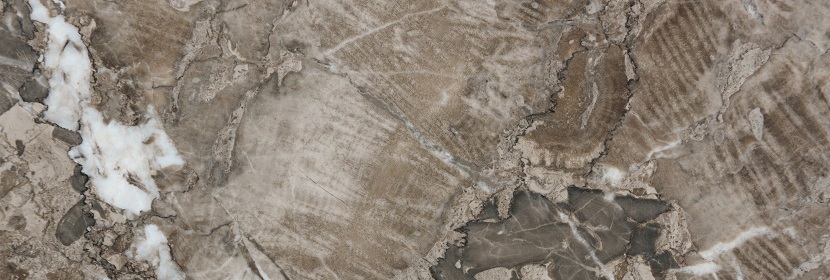 藥品生產企業土壤隱患排查方案