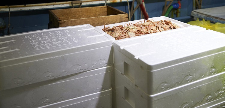 管道檢測cctv檢測技術(shù)的應用及檢測流程匯總