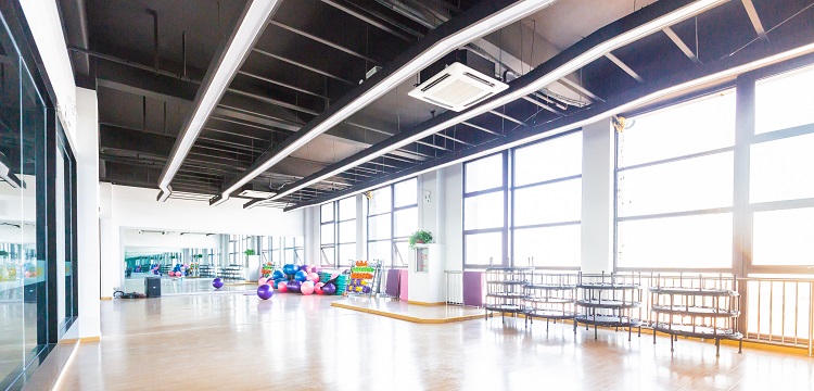 杜氏肌營養不良小鼠模型