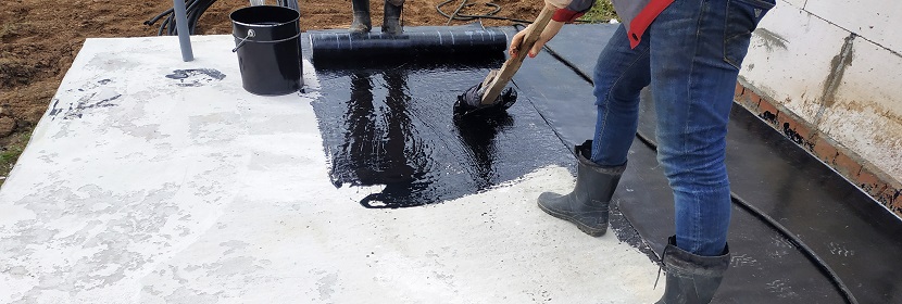 白消安誘導小鼠骨髓抑制模型