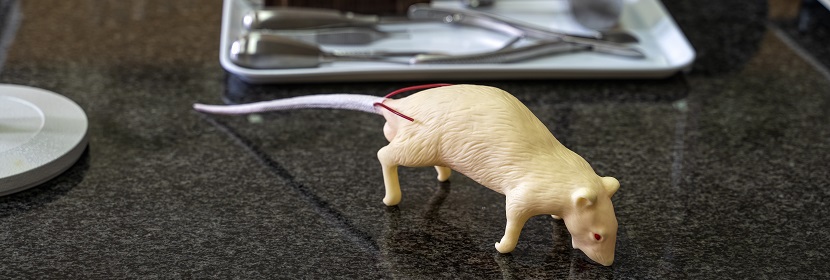 炎癥誘導小鼠腸癌模型