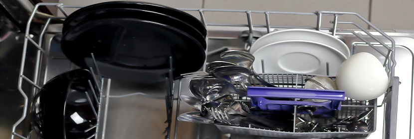 沙門(mén)氏菌灌胃誘導(dǎo)回腸炎小鼠模型