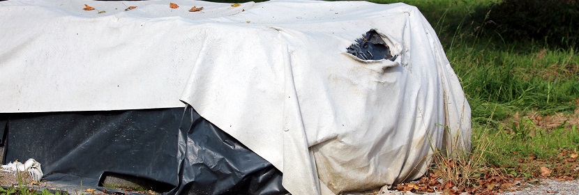 OVA誘導小鼠哮喘模型