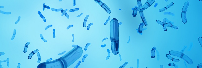 細菌回復(fù)突變試驗