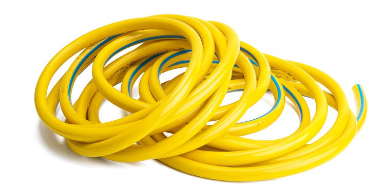 氧嗪酸鉀誘導(dǎo)樹鼩急性高尿酸血癥