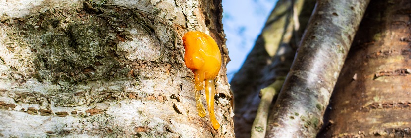 工業三氧化二硼(硼酐)檢測